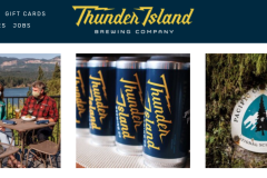 ThunderIsland-Web